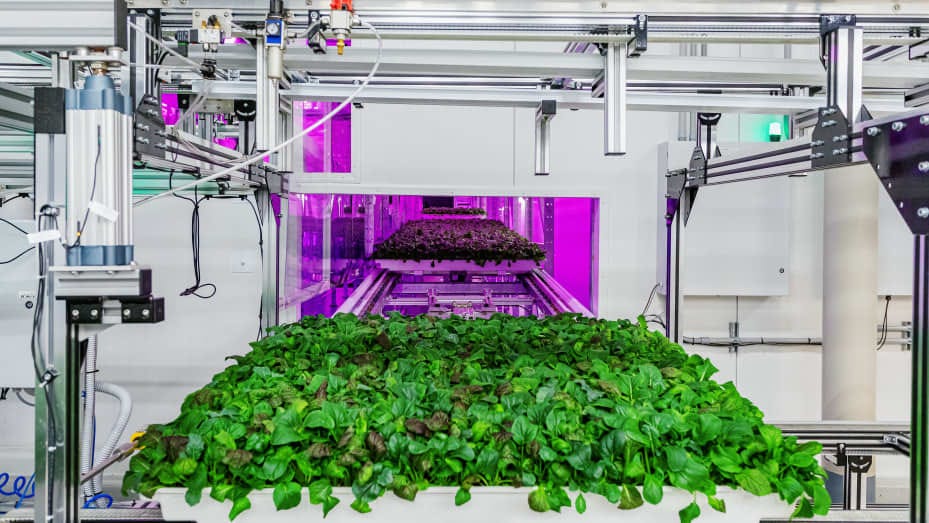 Currently less than 1% of fresh produce is grown through hydroponics systems versus open-field agriculture, but this segment is forecast by Mordor Intelligence to grow by nearly 11,% or about $600 million, by 2025.