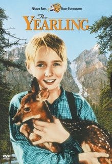 DVD Cover With Boy and Yearling