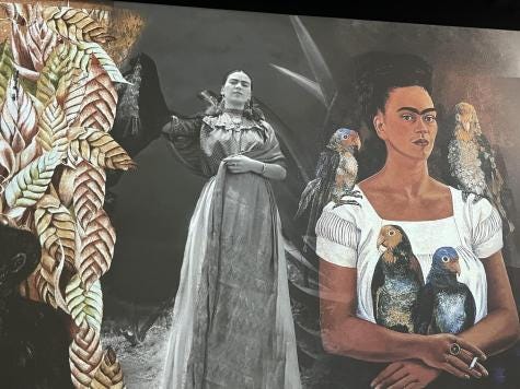 image of Frida painting