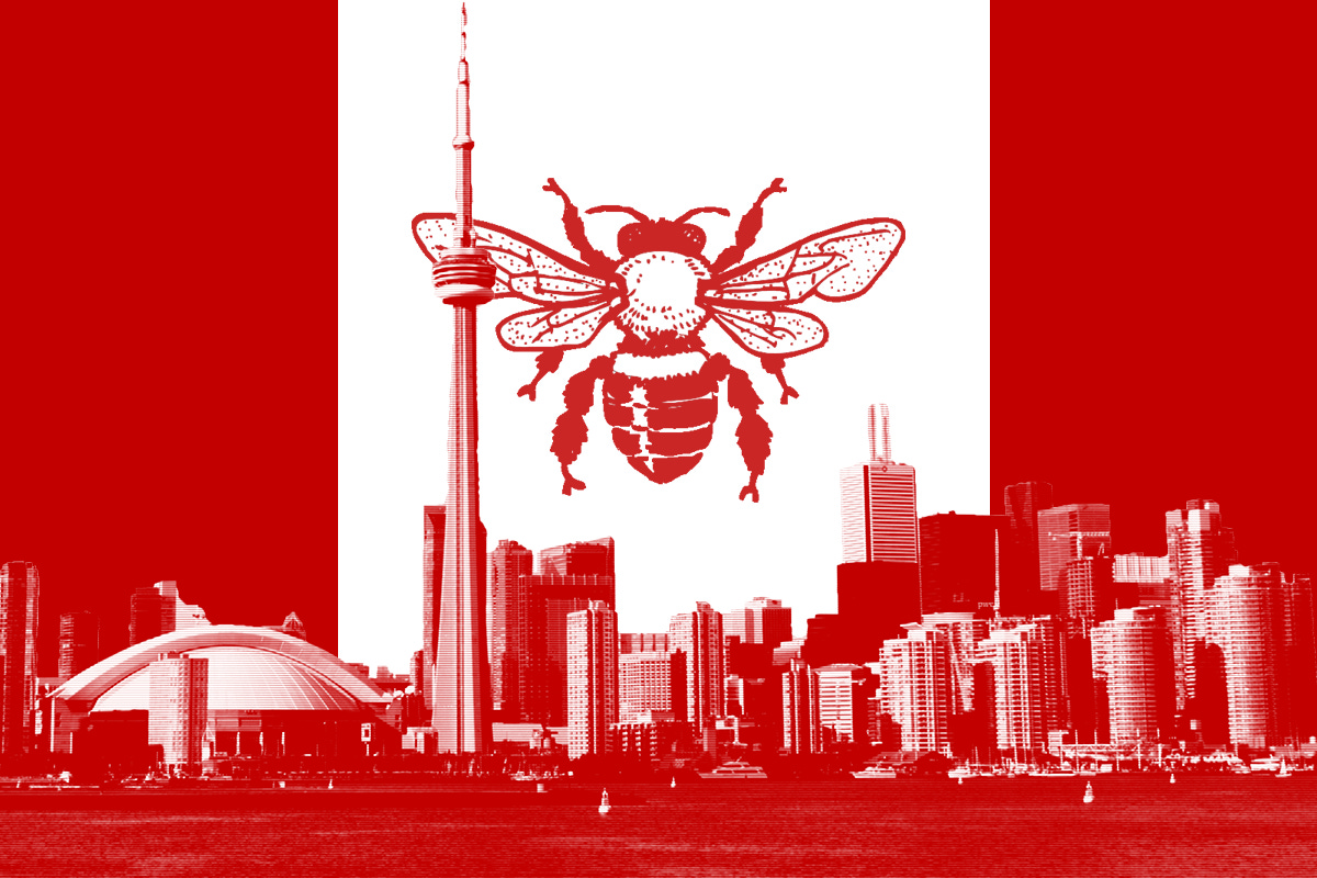The Bees of Toronto