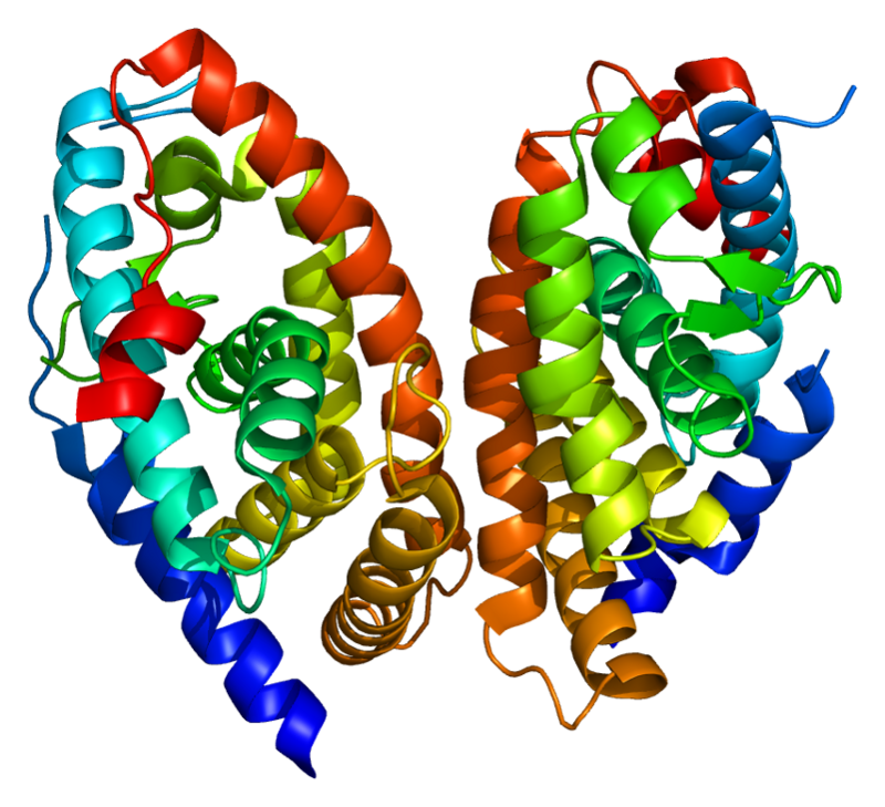 Retinoic acid receptor alpha - Wikipedia