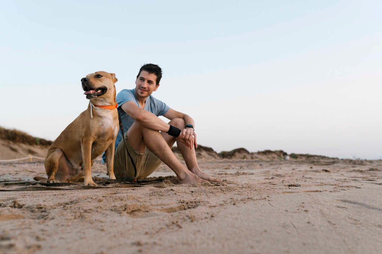 Man with his dog sitting on the beach sand stock photo