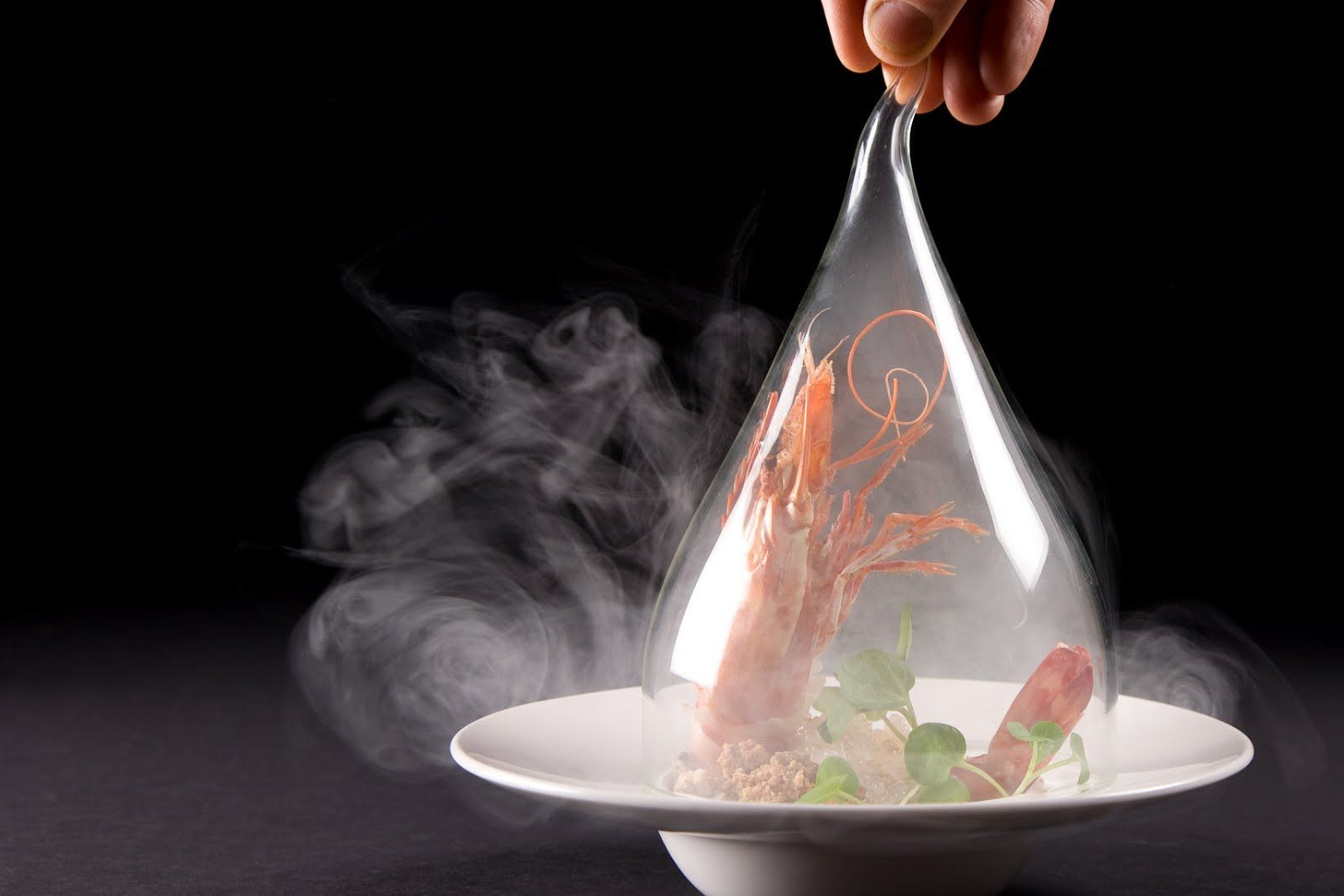 smoke molecular gastronomy - Google Search | Molecular gastronomy,  Molecular food, Molecular gastronomy recipes