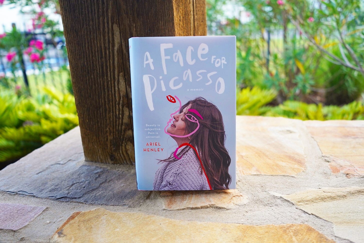 a photo of the book A Face for Picasso by Ariel Henley