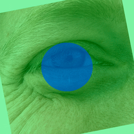 An animated-loop of a close-up photo of a right eye open in surprise and then crinkling into a smile, transitioning to an older left eye also crinkled in a smile and then opening in surprise, looping back to the initial younger eye. This left eye has been digitally flipped and rotated so that it looks like a right eye, and where the photo has been shifted the green transparency is showing to reveal this manipulation. Both eyes are blue with light skin, though the whole frame is superimposed with a green transparency. Over the iris in the center of the frame is a blue transparent circle that doesn’t move throughout the animation.