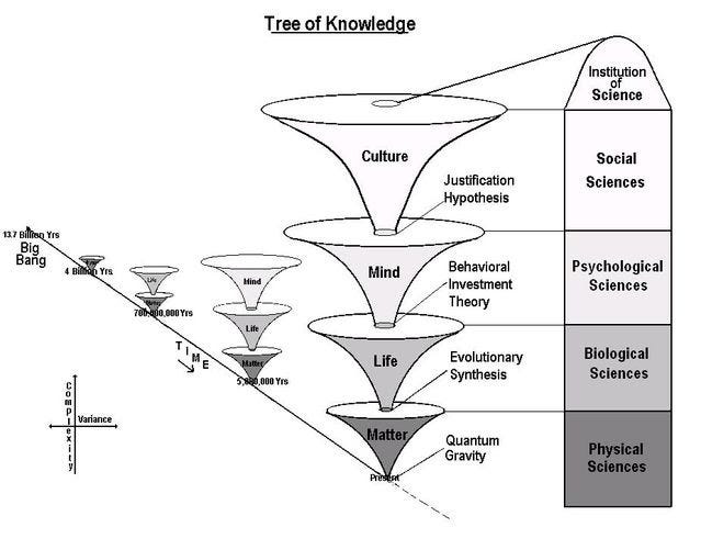 The Unified Theory of Knowledge's Tree of Knowledge - Gregg Henriques on the Best Medicine Podcast with Dr Bradley Werrell