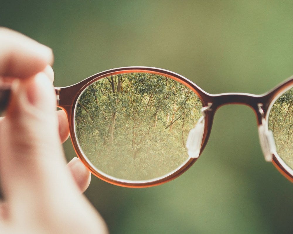 Through the lens of a pair of glasses, the details of the trees beyond become clear.