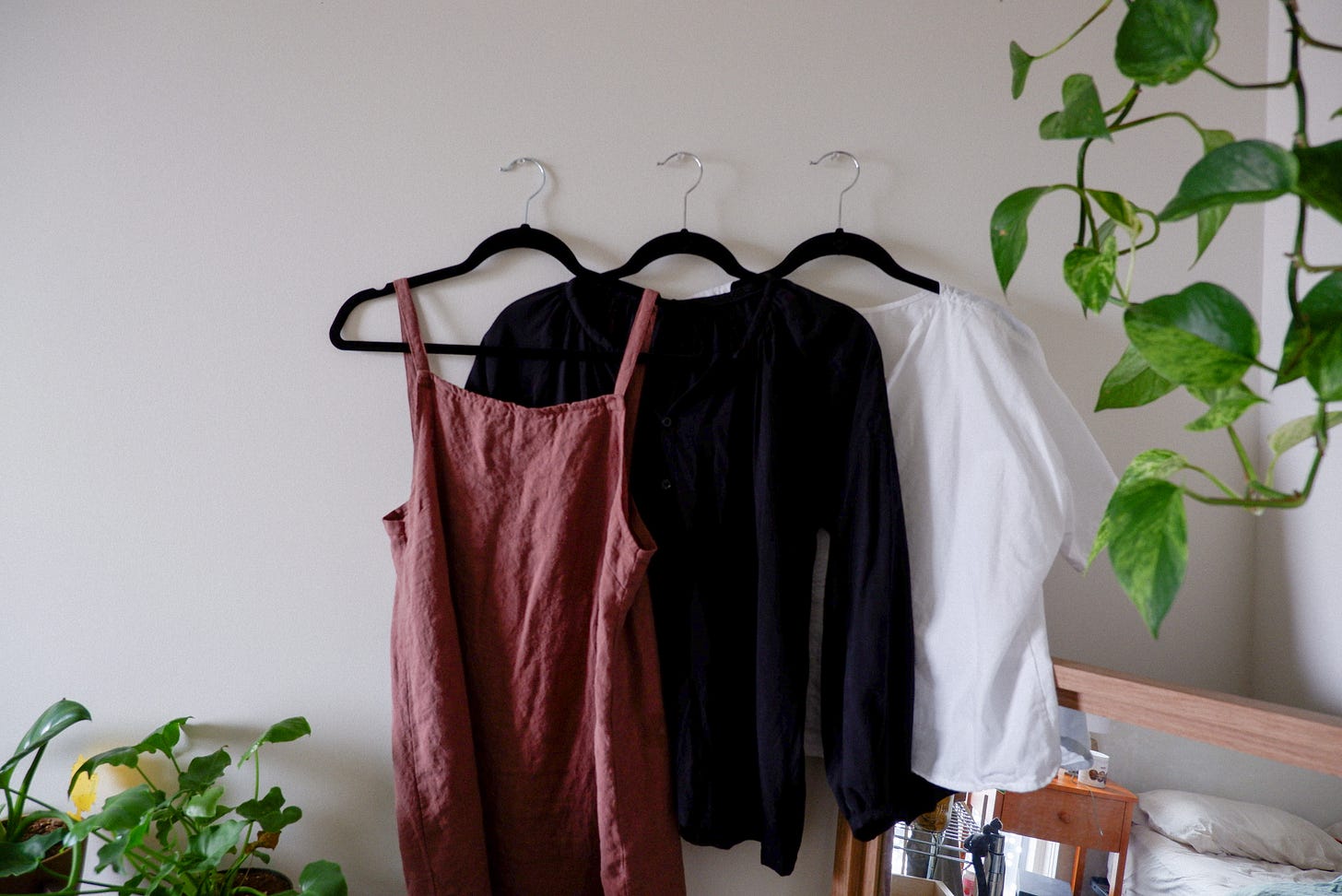 a pink dress, black blouse, and white blouse hang on hangers in front of a beige wall. a vine is hanging in the foreground on the right, with a small plant in the bottom left corner
