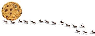 Free Marching Ants Cliparts, Download Free Marching Ants Cliparts png  images, Free ClipArts on Clipart Library