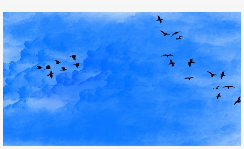 Sky, Bird, Flock Of Birds, Fly, Seagull, Birds, Clouds - Blue Sky With Birds  PNG Image | Transparent PNG Free Download on SeekPNG