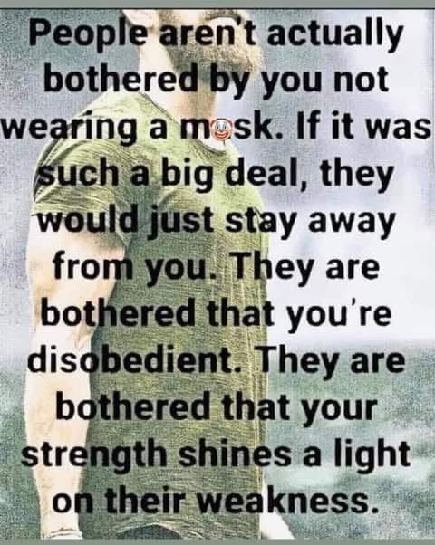 May be an image of one or more people and text that says 'People aren't actually bothered by you not wearing a mosk. If it was such abig deal, they would just stay away from you They are bothered that you're disobedient They are bothered that your strength shines a light ontheir weakness.'