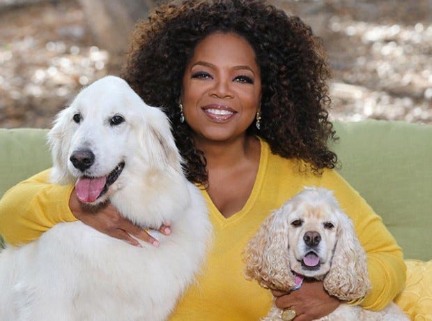 a joyful moment with Oprah + hounds