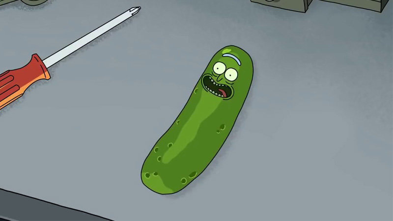 Pickle Rick | Know Your Meme
