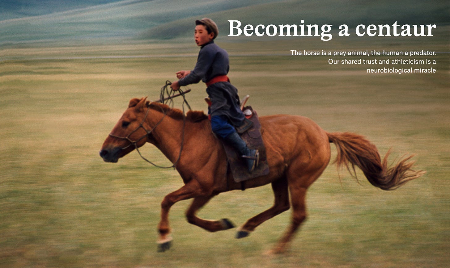 Photo cover for “Becoming a centaur” by Dr. Janet Jones on Aeon.