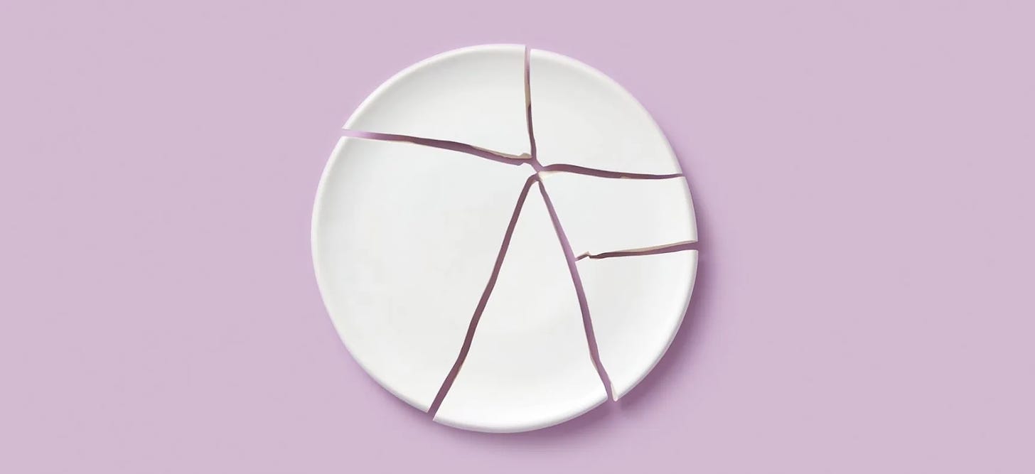 photo of pieces of a broken white plate