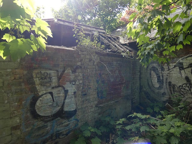 Boyne Valley Hotel and Country Club/Stameen House gate lodge rear with bricked up doors and windows.