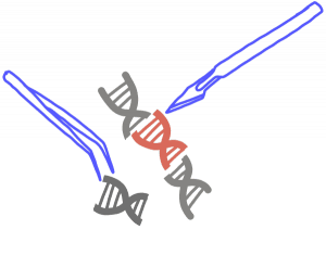 Image of a scalpel and tweezers replacing a section of DNA with a red DNA fragment.