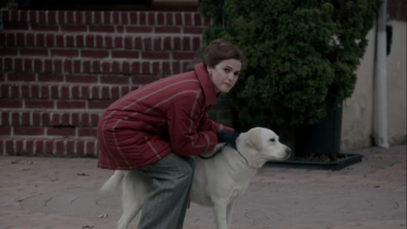 Elizabeth leaning down and holding onto a yellow lab on a leash