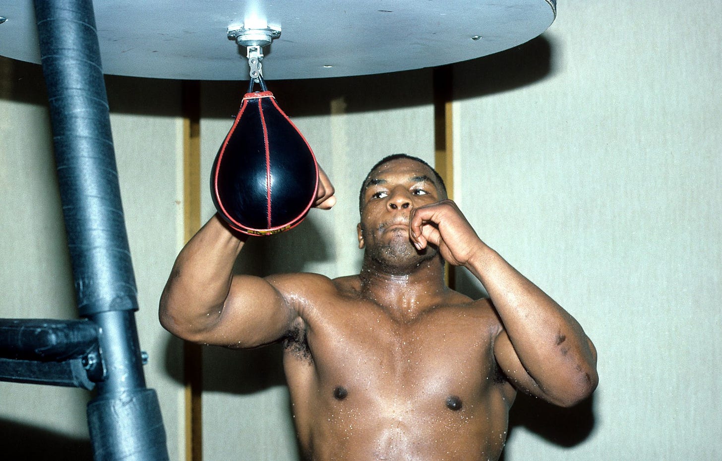 Revitalization of Mike Tyson's Catskills gym continues region's boxing  legacy