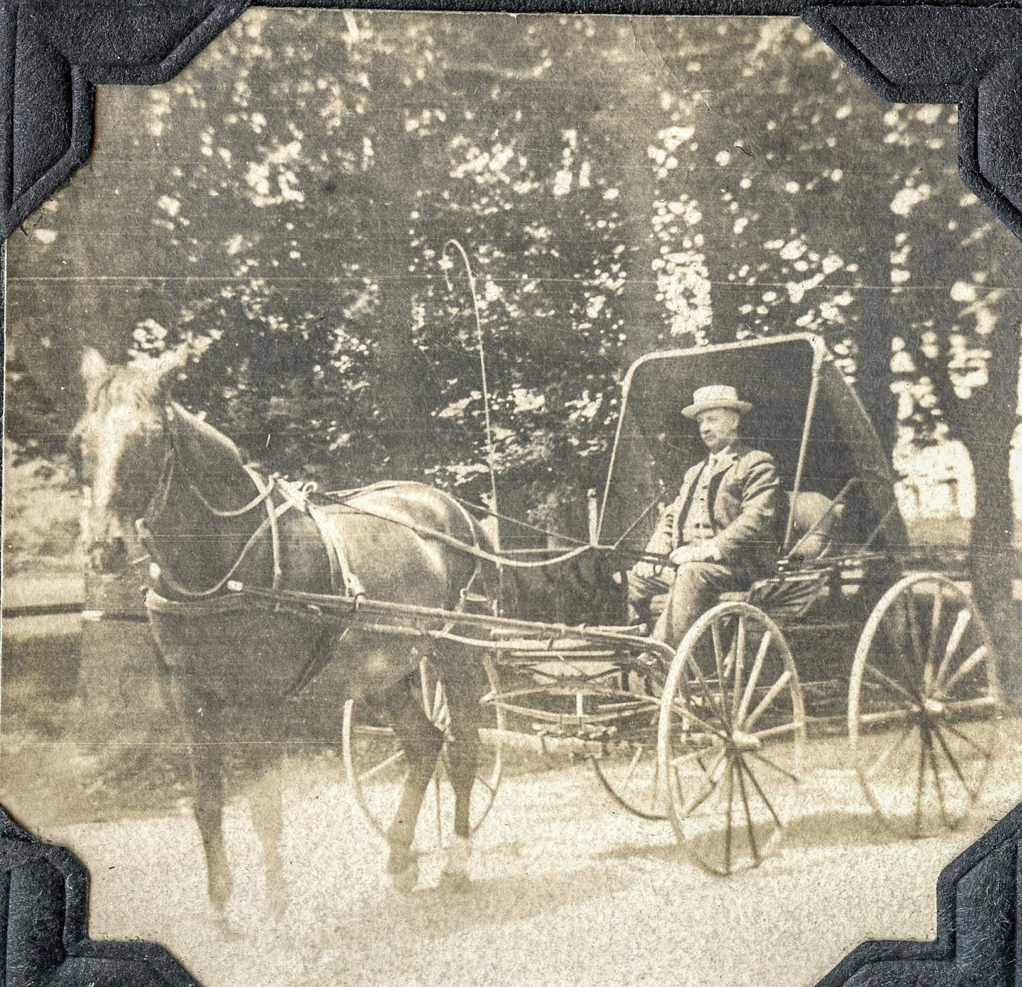 Dr. Jones in carriage