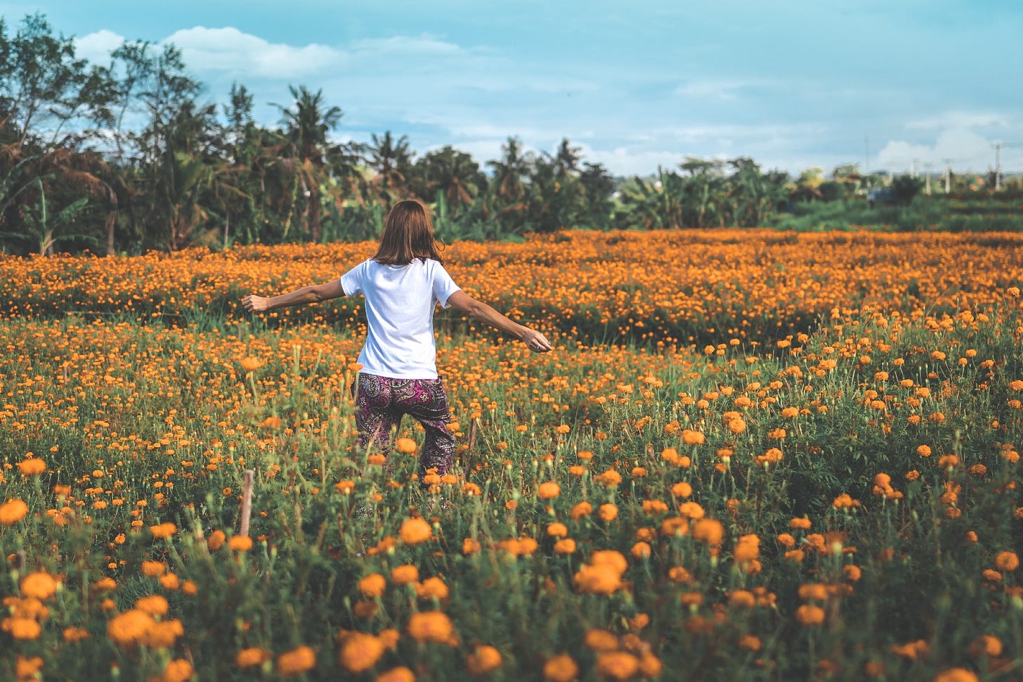 A young woman runs through a large field of yellow flowers on a sunny day. Her arms are spread wide.