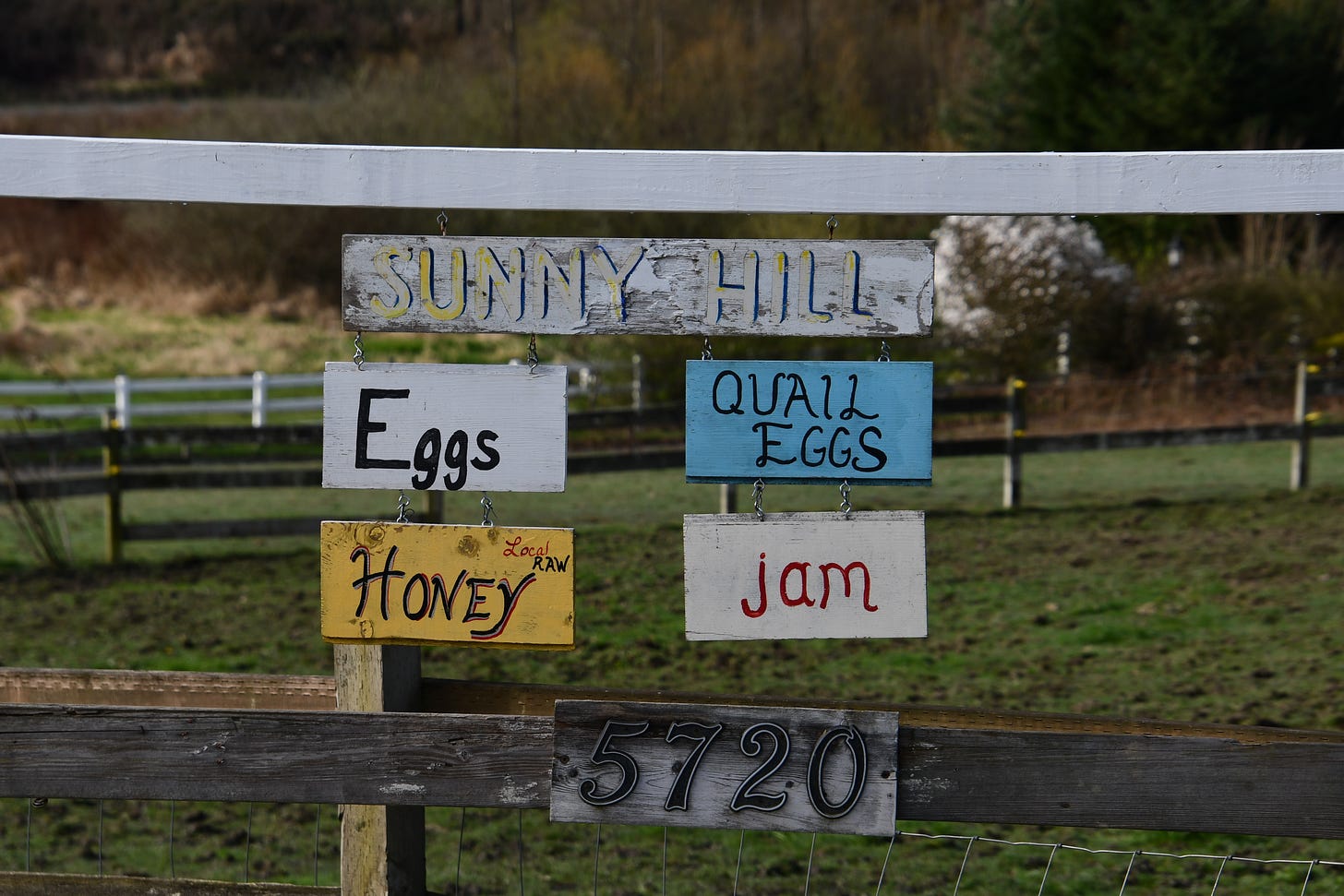 Sign for Sunny Hill Farm