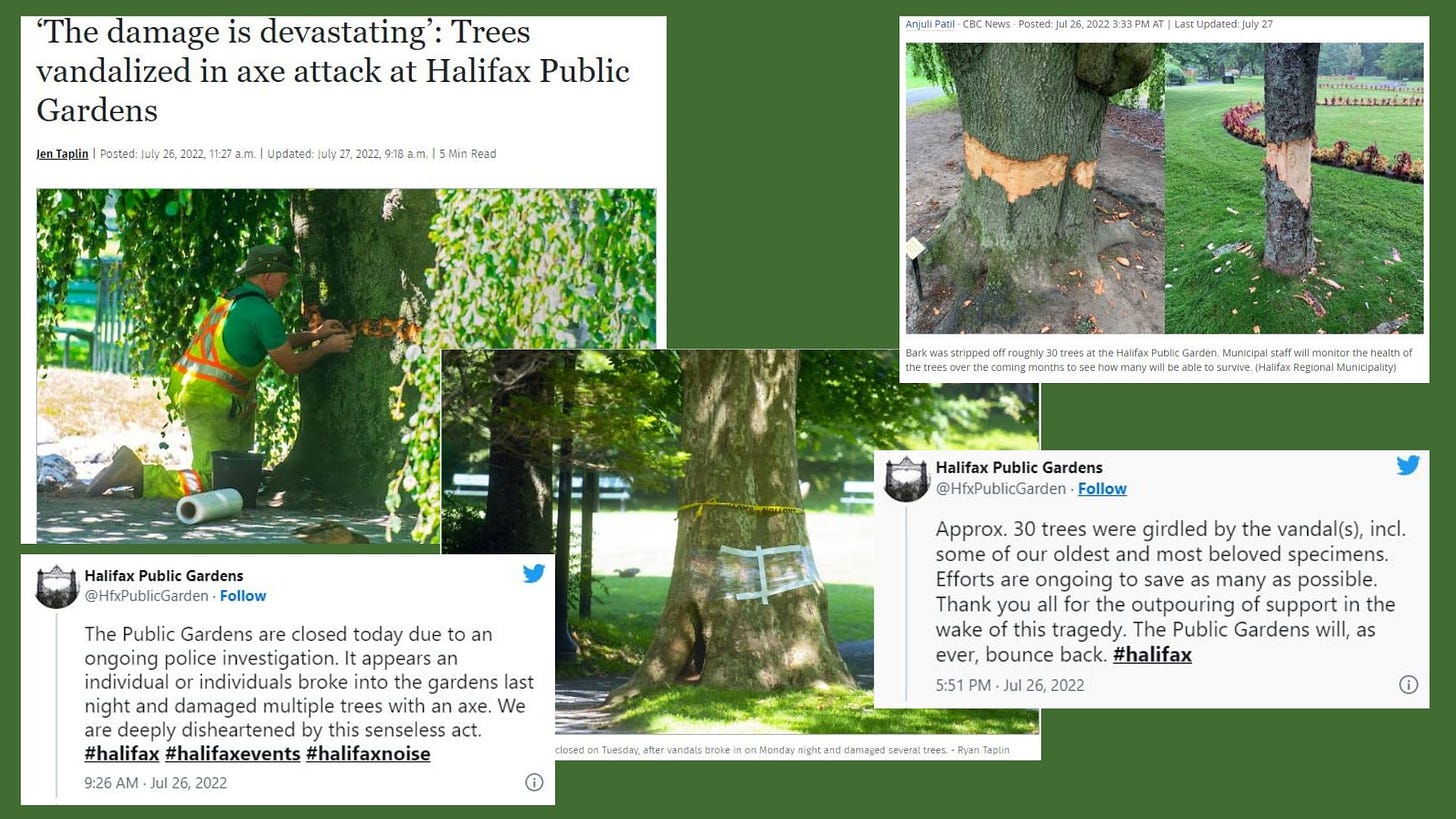 Article clippings from news stories about the axe attack at the Halifax Public Gardens