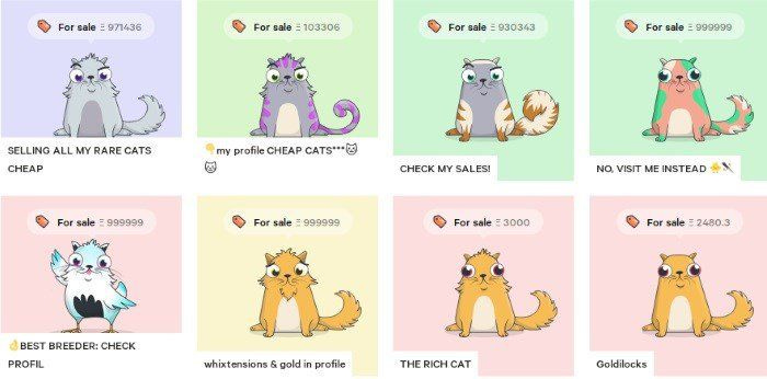 Cryptokitties Are Still a Thing. Here&#39;s Why