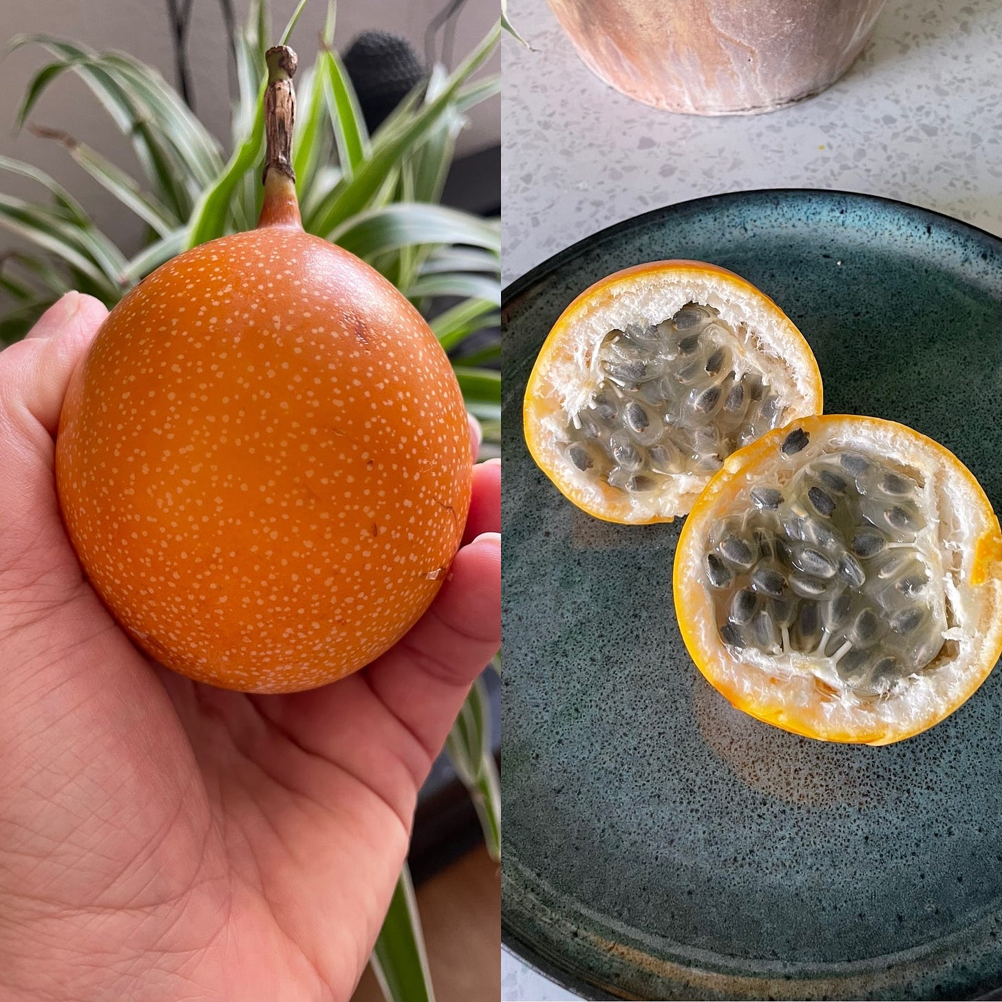 Two images - the left one is of a whole sweet granadilla fruit and the one on the right is the same fruit cut in half to show the grey seeds inside it
