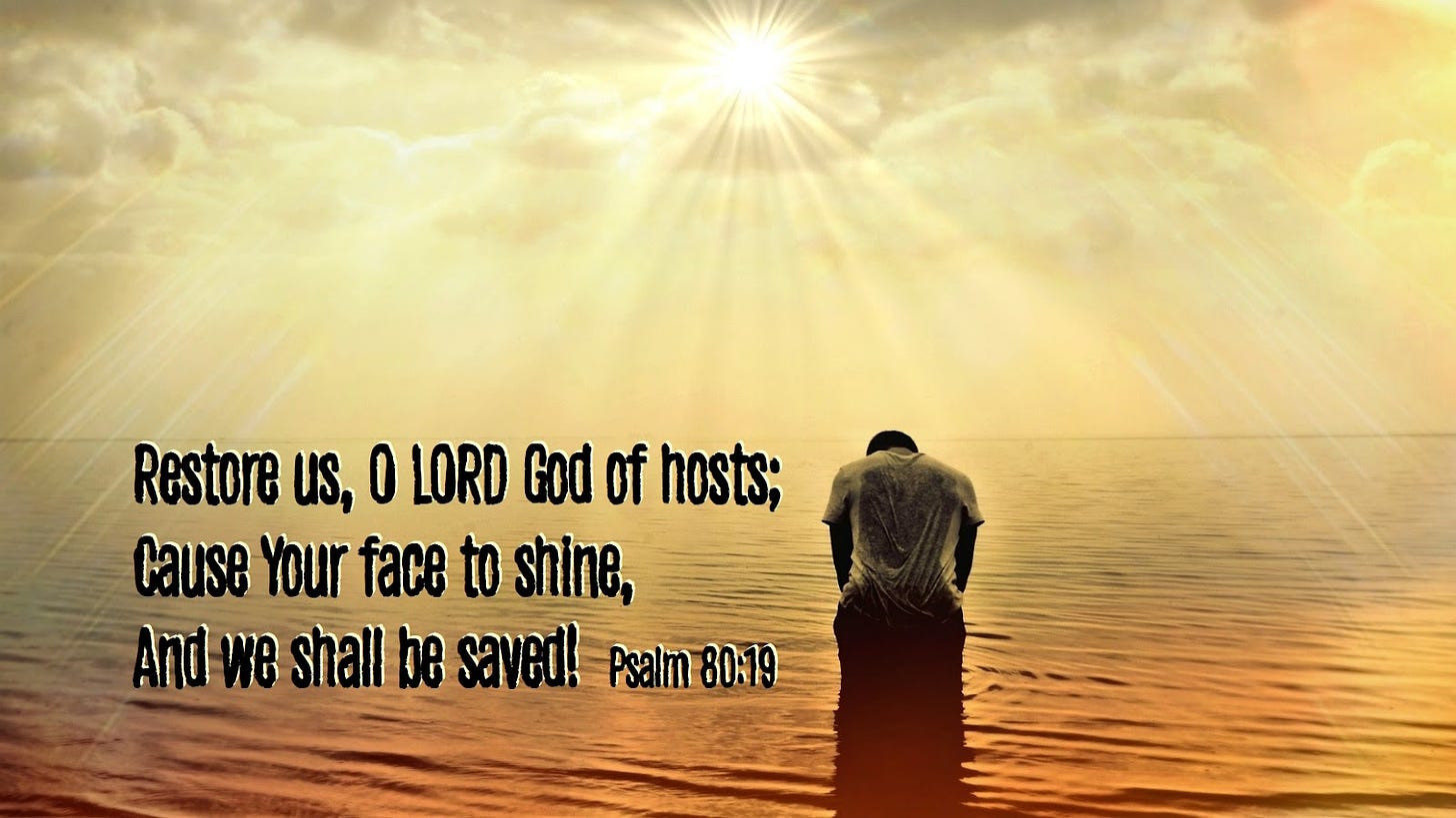 Psalm 80_19
