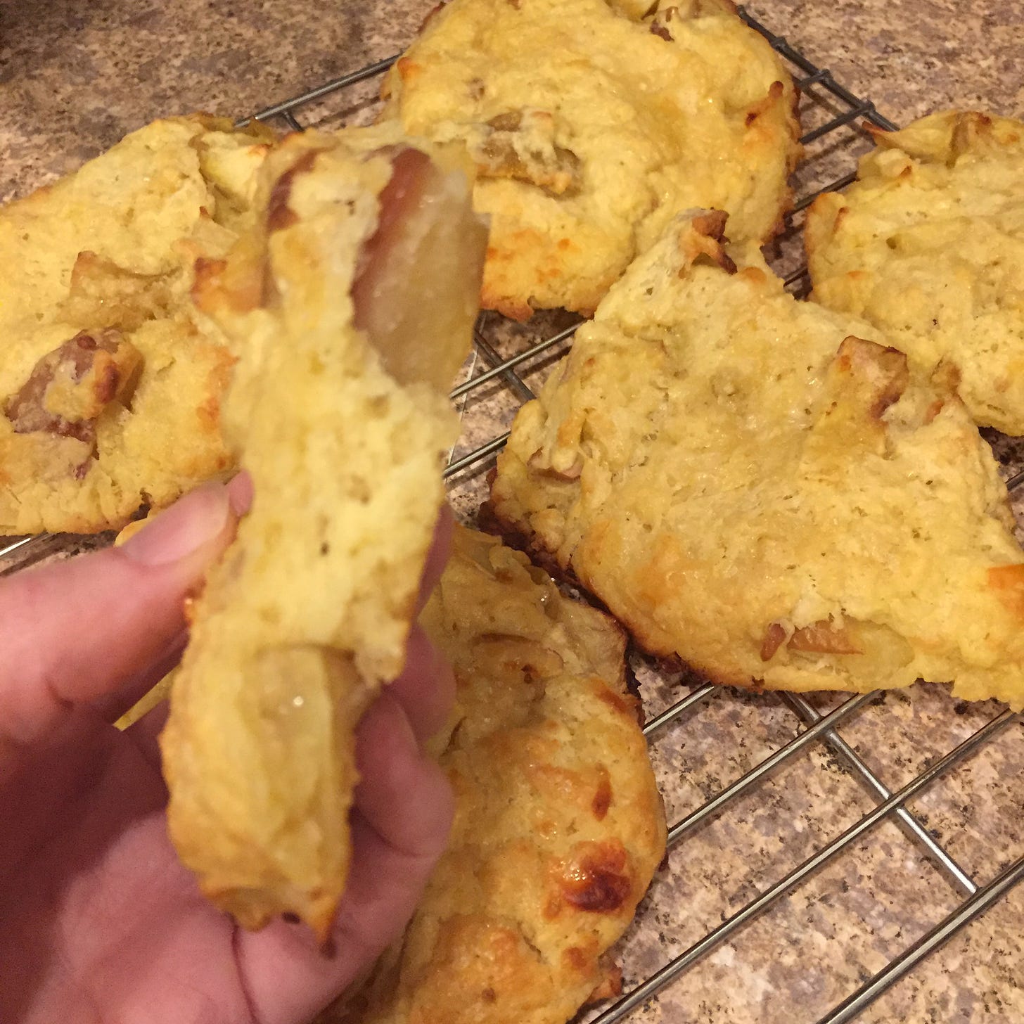 On a cooling rack are a few flattish scones, with browned edges and pieces of apple. In the foreground, my hand holds one of the scones, broken in half.