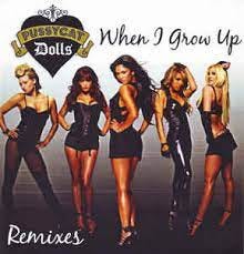 Pussycat Dolls – When I Grow Up (Remixes) (2008, CDr) - Discogs