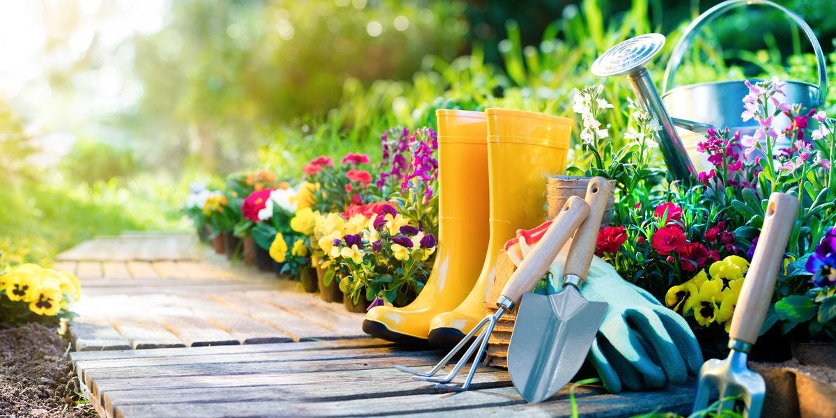 Organic Gardening – How to Start an Organic Garden
