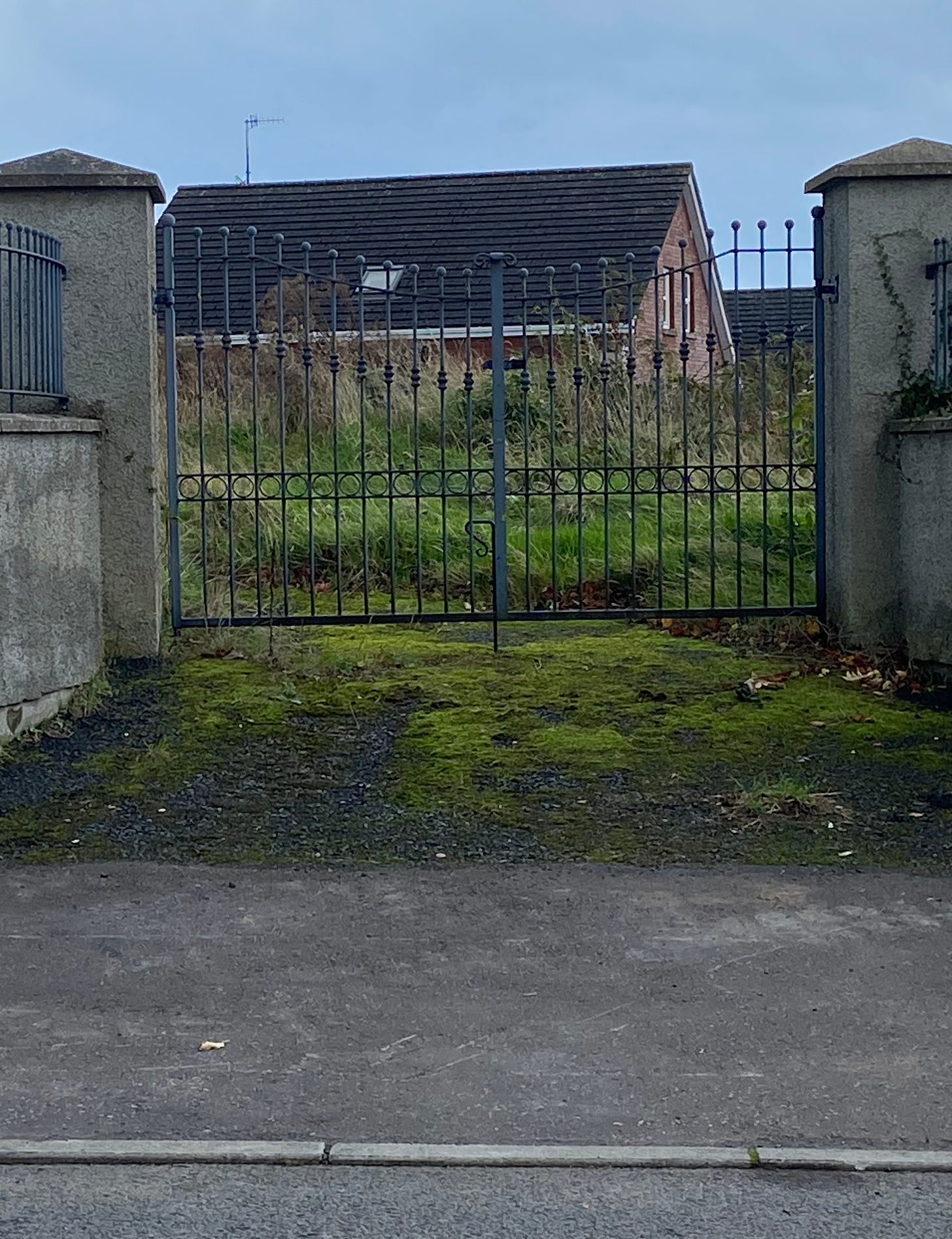 A closed gate with wild grasses and a house in the background