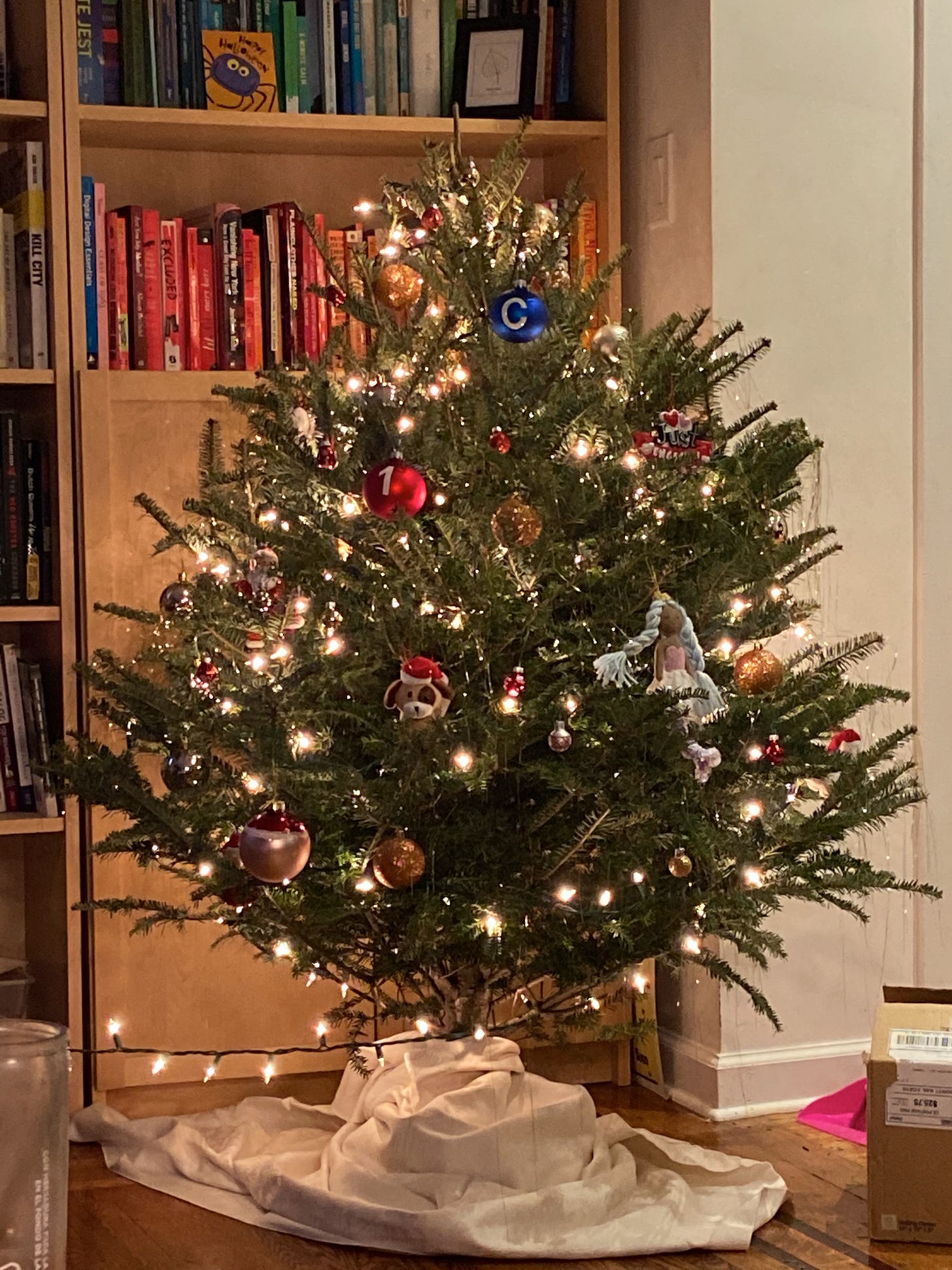A live christmas tree with decorations