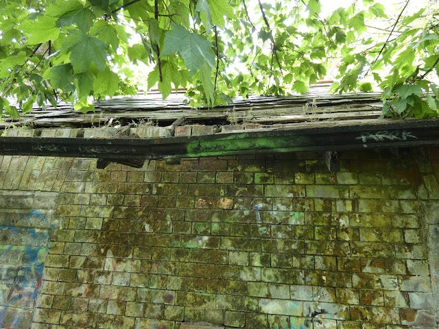 Boyne Valley Hotel and Country Club/Stameen House gate lodge rear with damaged roof.