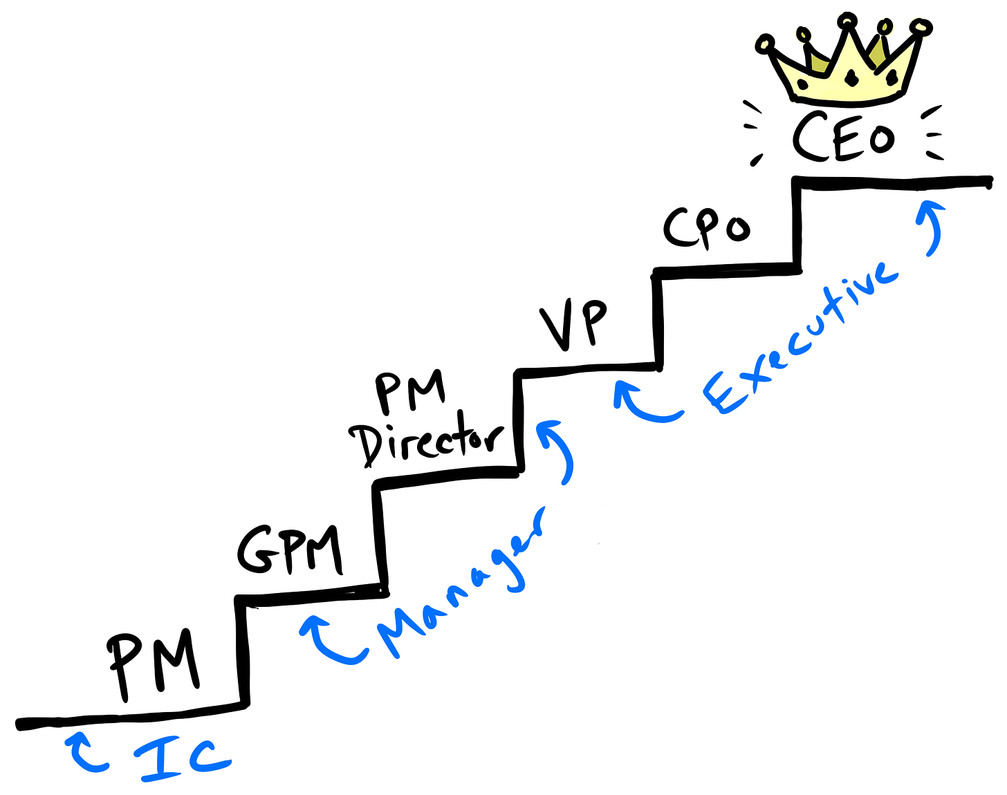 Typical product manager career path: PM → GPM → PM Director → VP/CPO → CEO/Founder