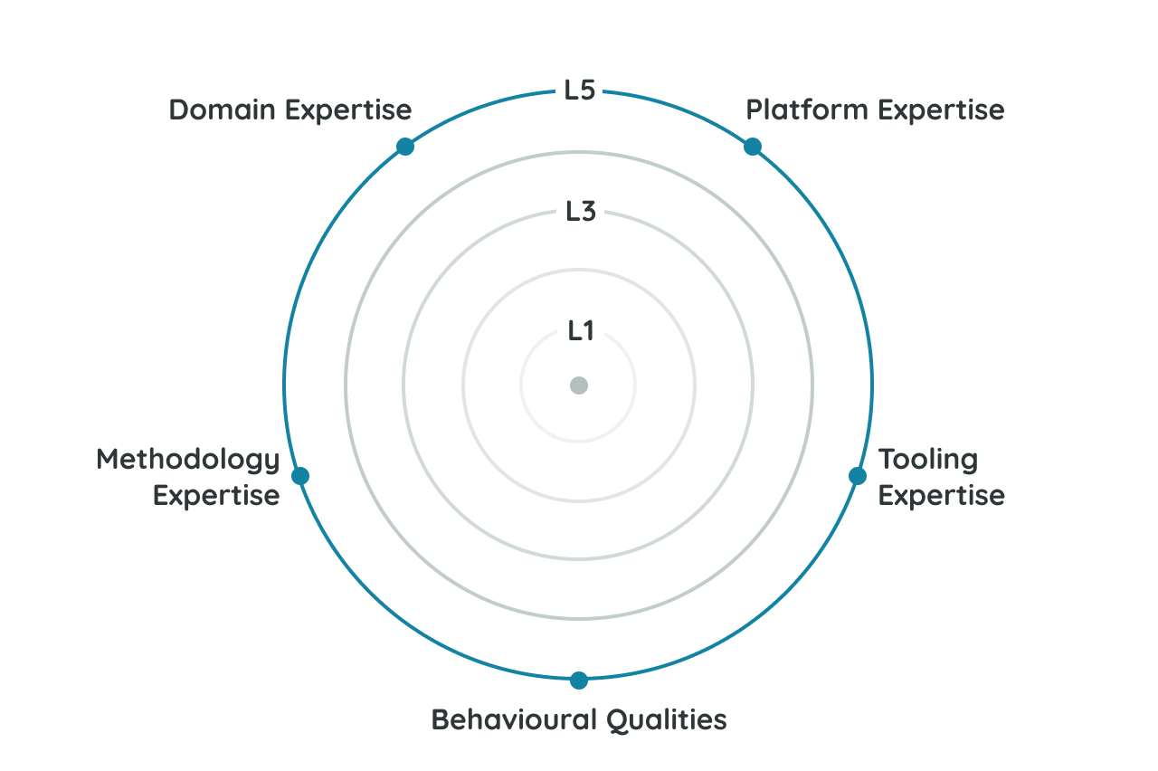 5 concentric circles that show the 5 proficiency levels for each of my 5 capability groups.