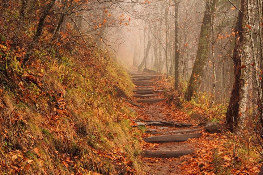 A Walk in the Woods: Pipelines and the Appalachian Trail | NRDC