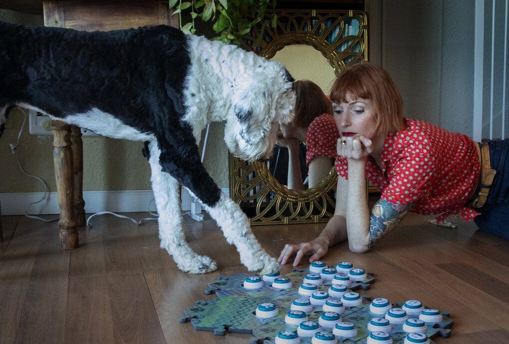 Tacoma woman teaches her Sheepadoodle how to communicate using buttons |  The Seattle Times
