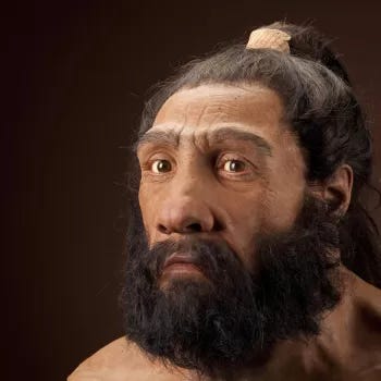 male Homo neanderthalensis reconstruction based on Shanidar 1 by John Gurche"