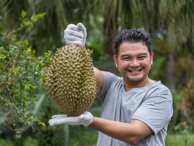 durians: Wish to discover a new culture? These seasonal fests are a  must-visit for you - The Economic Times