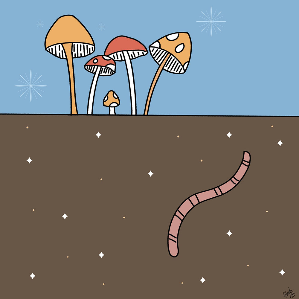 Mushroom and dirt illustration with an earthworm