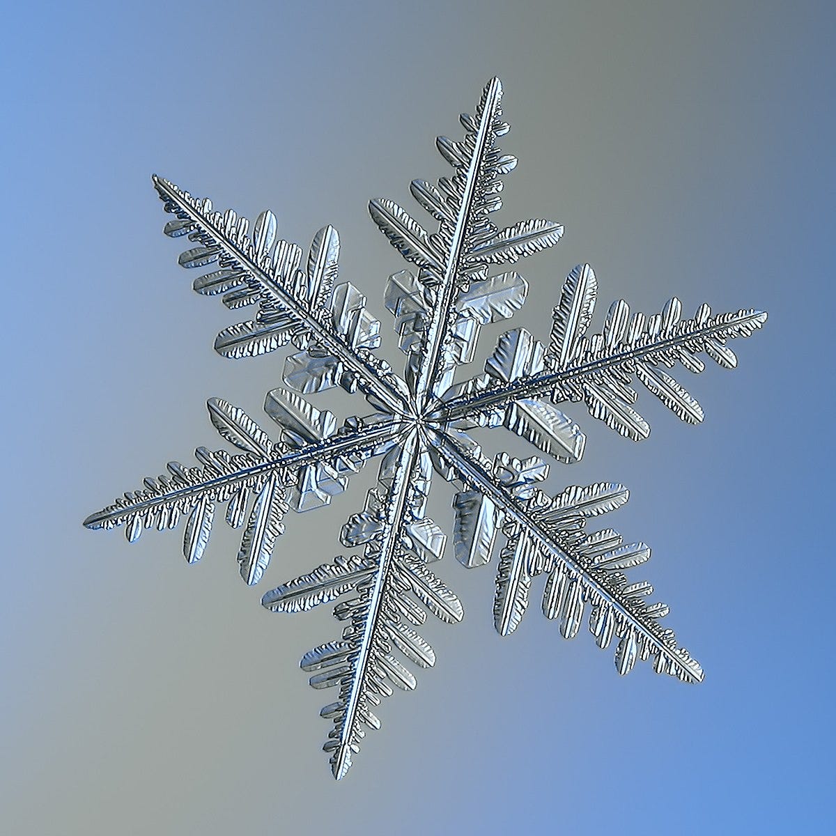 snowflake - Wikidata