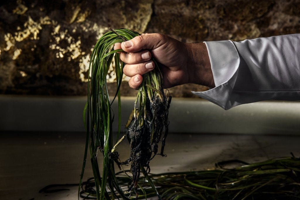 chef leon and his quest to harvest rice from the sea
