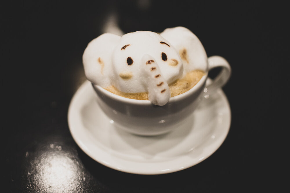 The 3D latte art of elephant that  Atlanta Coffee Shops  requested.