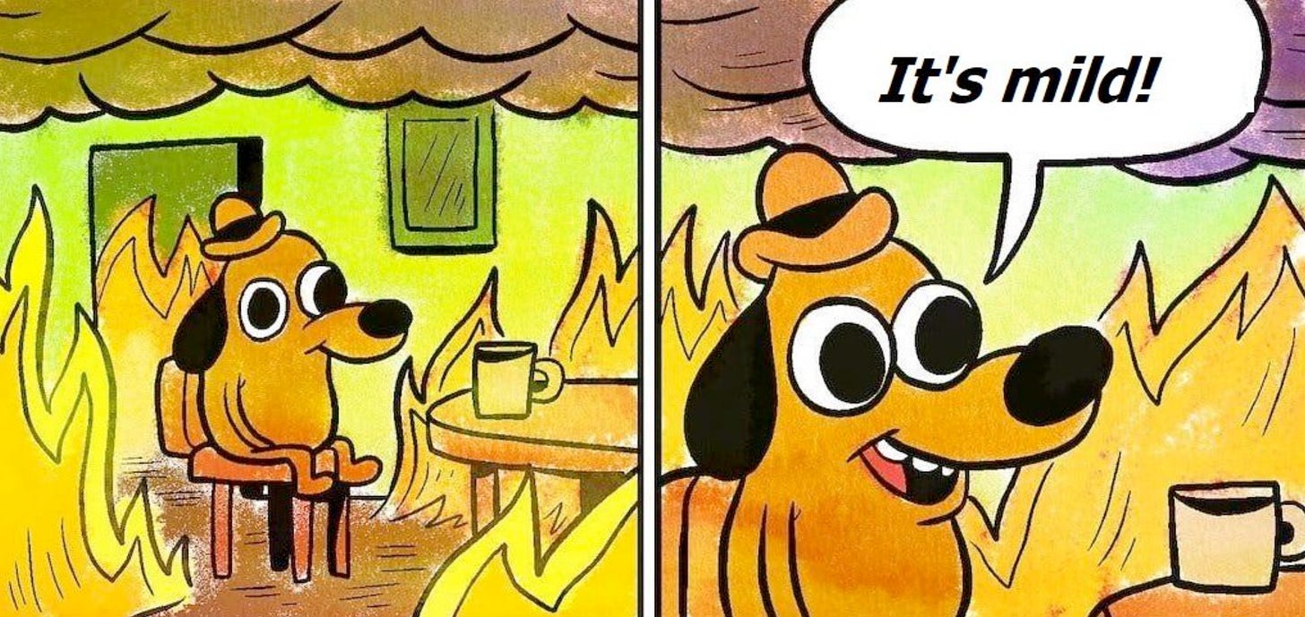 The This is Fine Meme dog sitting in the burning room with his coffee cup and in the second panel he is smiling with the speech bubble caption Its Mild!