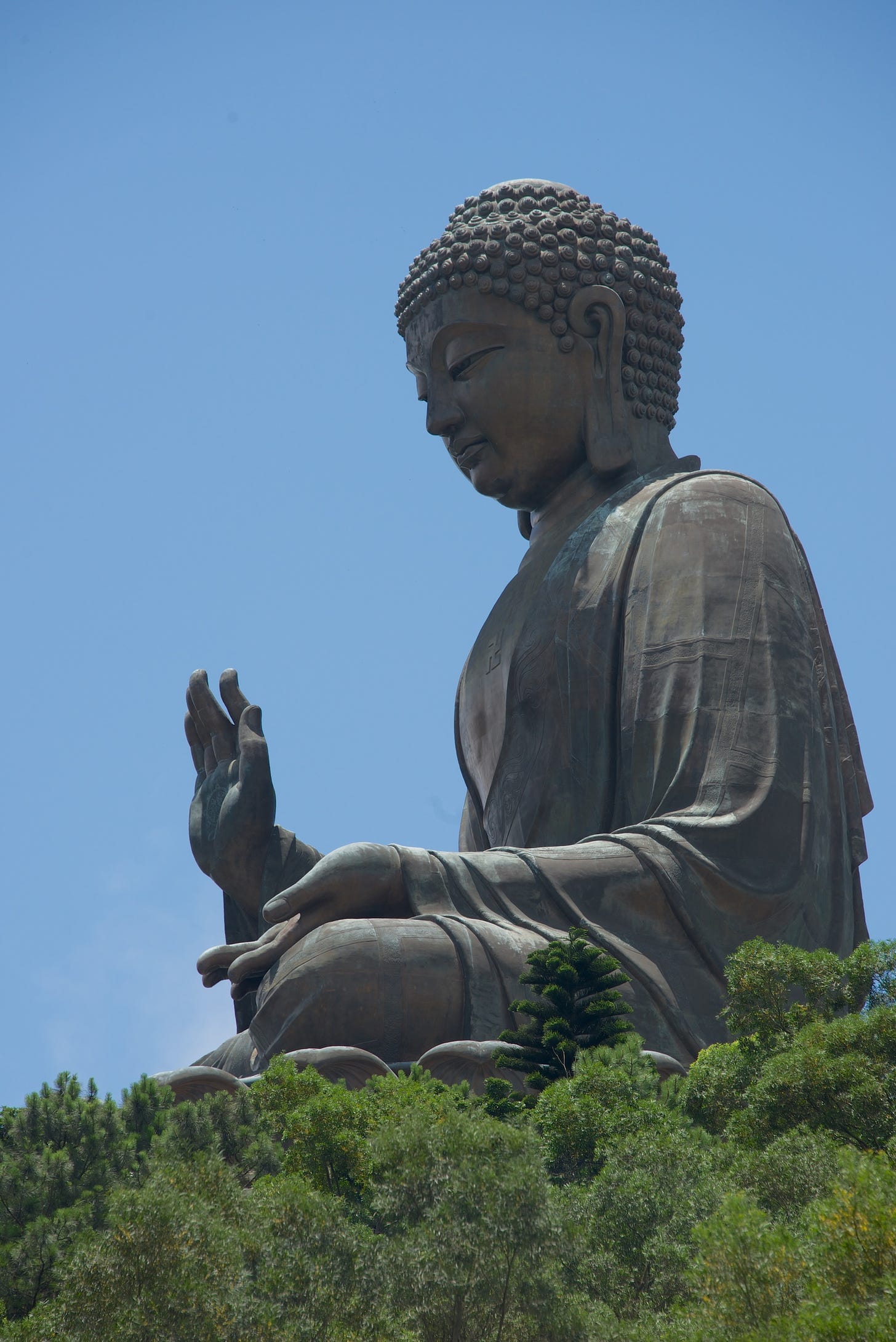 Big Buddha in profile