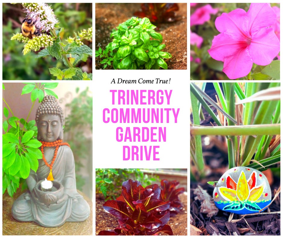 trinergy community garden drive