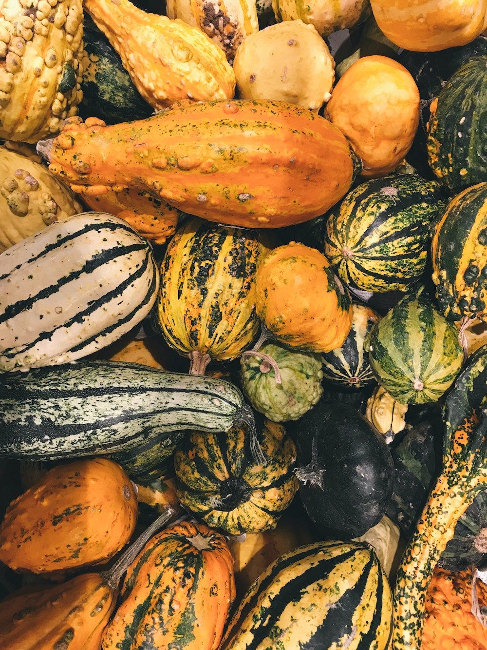 Andrew Zimmern's favorite ways to use squash.